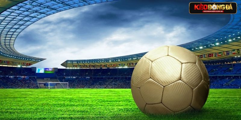 Bỏ túi những dấu hiệu chuẩn nhận biết kèo thơm Bỏ túi những dấu hiệu chuẩn nhận biết kèo thơm