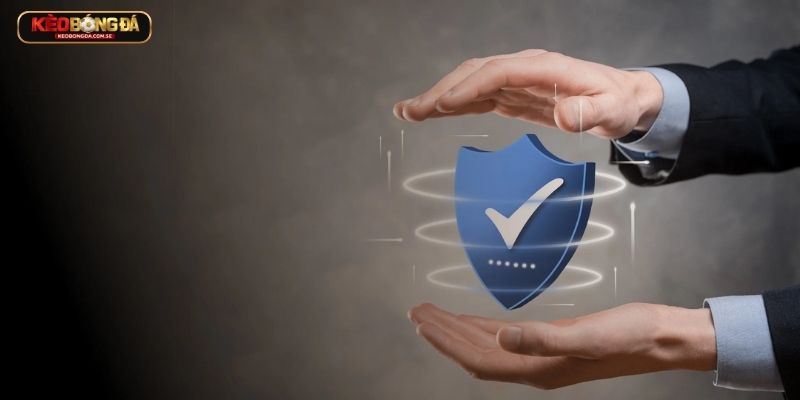 Công khai chính sách & điều khoản Công khai chính sách & điều khoản