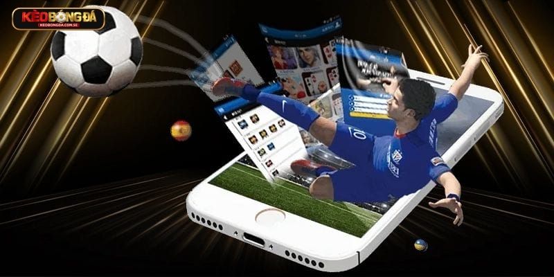 LiveScore và cách sử dụng hiệu quả nhất LiveScore và cách sử dụng hiệu quả nhất