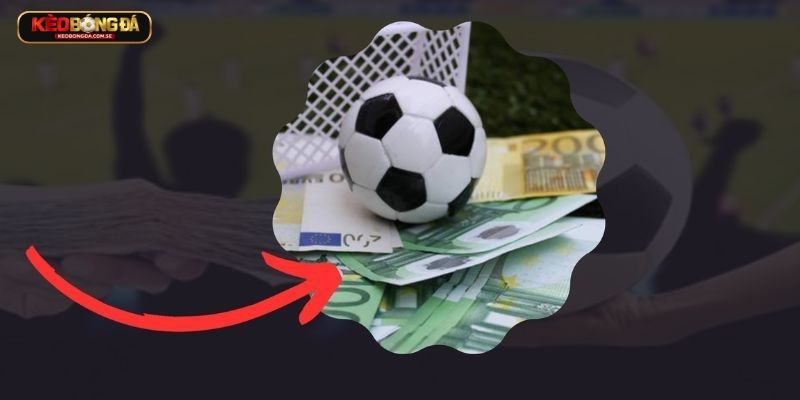 Trang hỗ trợ soi kèo bóng đá