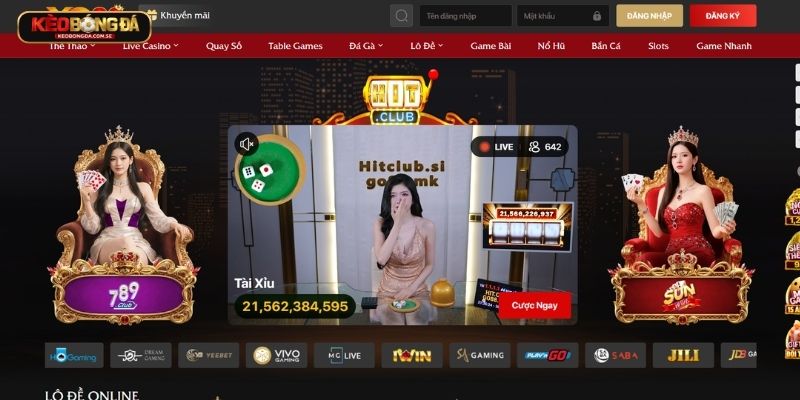 Cá cược thể thao là nơi bạn được theo dõi những trận đấu đầy hấp dẫn