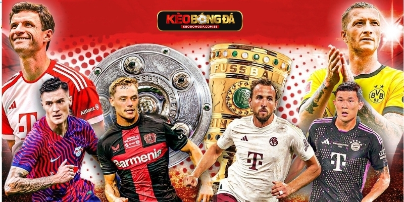 Các fan bóng đá có thể thuận tiện theo dõi và phân tích dữ liệu