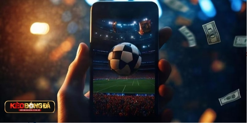 Chiến thuật bắt kèo penalty của cao thủ bạn nên biết Chiến thuật bắt kèo penalty của cao thủ bạn nên biết