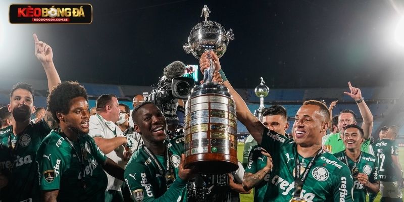Yếu tố quyết định kèo của giải Libertadores
