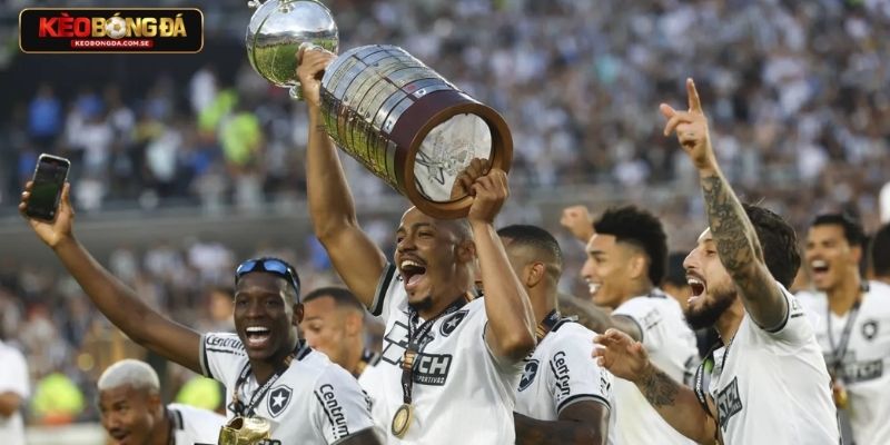 Góc nhìn thực tế khi theo dõi Libertadores