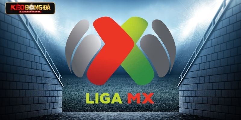 Đặc trưng giải đấu Mexico - Không có sự ổn định dài hơn