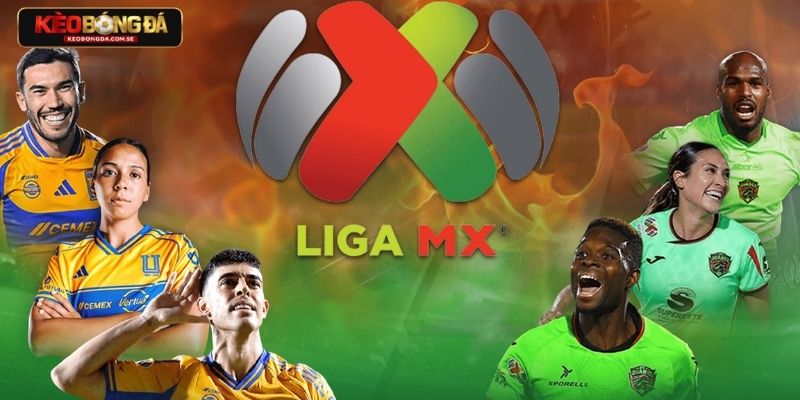 Những khoảnh khắc đặc trưng của Liga MX mà cược thủ cần nắm