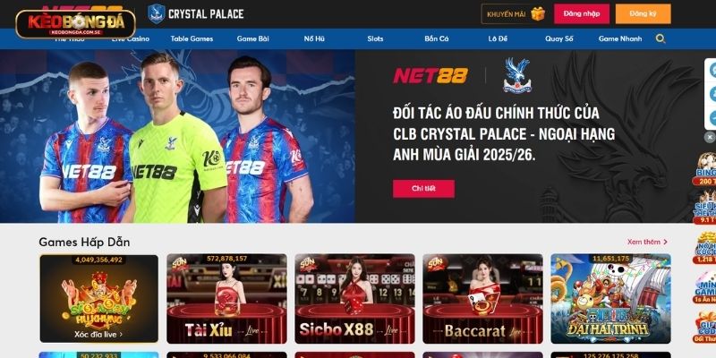 NET88 - nhà cái uy tín đến từ châu Âu