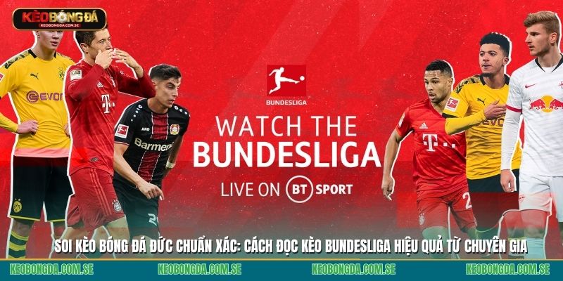 Soi kèo bóng đá Đức chuẩn xác: Cách đọc kèo Bundesliga hiệu quả từ chuyên gia