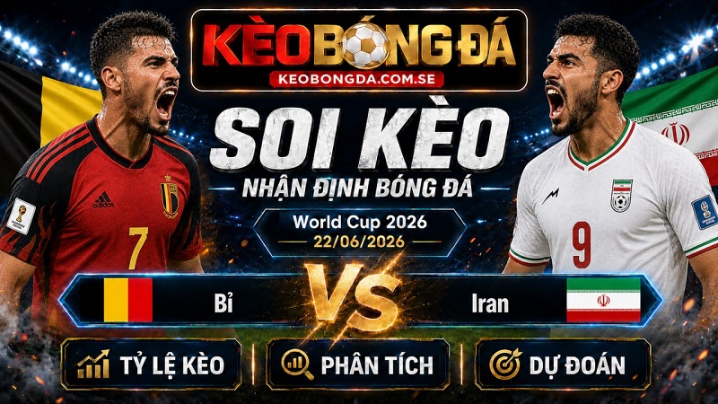 Đội hình dự kiến trước trận Bỉ và Iran Đội hình dự kiến trước trận Bỉ và Iran