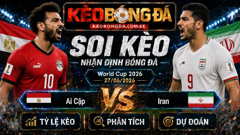 Đội hình dự kiến trước trận Ai Cập và Iran Đội hình dự kiến trước trận Ai Cập và Iran