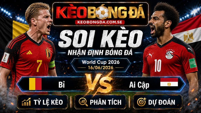 Đội hình dự kiến trước trận Bỉ và Ai Cập Đội hình dự kiến trước trận Bỉ và Ai Cập