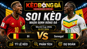 Đội hình dự kiến trước trận  Bỉ và Senegal