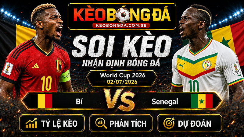 Đội hình dự kiến trước trận  Bỉ và Senegal