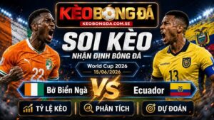 Đội hình dự kiến trước trận Bờ Biển Ngà và Ecuador