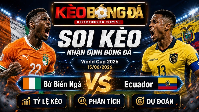 Đội hình dự kiến trước trận Bờ Biển Ngà và Ecuador
