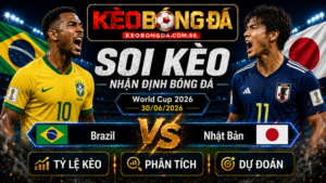 Đội hình dự kiến trước trận  Brazil và Nhật Bản