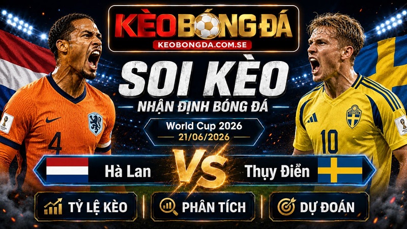 Đội hình dự kiến trước trận Hà Lan và Thụy Điển Đội hình dự kiến trước trận Hà Lan và Thụy Điển