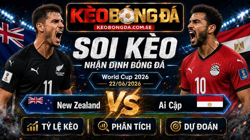 Đội hình dự kiến trước trận New Zealand và Ai Cập Đội hình dự kiến trước trận New Zealand và Ai Cập