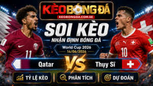 Đội hình dự kiến trước trận Qatar và Thụy Sĩ