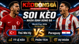 Đội hình dự kiến trước trận  Thổ Nhĩ Kỳ và Paraguay
