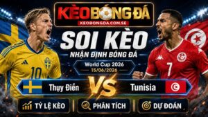 Đội hình dự kiến trước trận Thụy Điển và Tunisia
