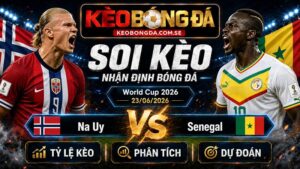 Đội hình dự kiến trước trận Na Uy và Senegal