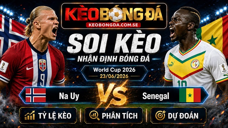 Đội hình dự kiến trước trận Na Uy và Senegal Đội hình dự kiến trước trận Na Uy và Senegal