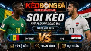 Đội hình dự kiến trước trận  Senegal và Iraq
